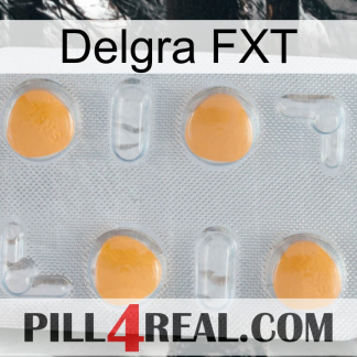 Delgra FXT 24